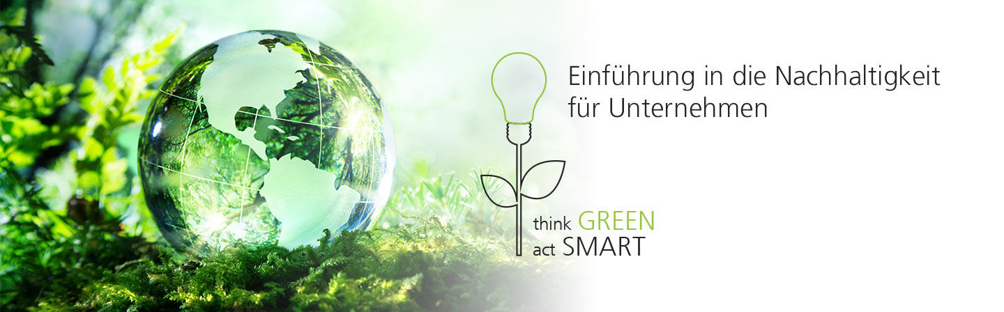 Eine Weltkugel liegt auf einem Waldboden, daneben eine Mischung aus Glühbirne und Pflanze mit dem Text "Einführung in die Nachhaltigkeit für Unternehmen" think GREEN act SMART