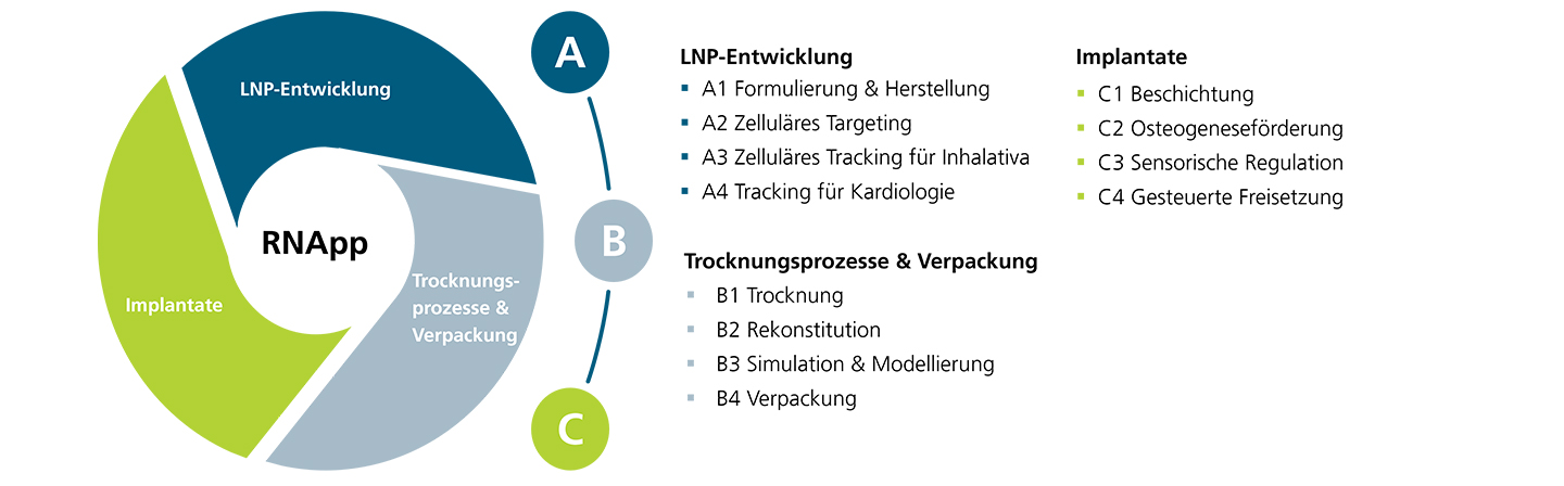 Übersicht der Teilprojekte des Graduiertenkollegs »RNApp«. 