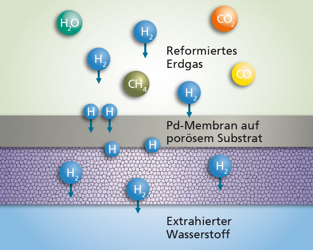 Schematische Darstellung der Wasserstoffdiffusion durch die Pd-Membran in die Röhrchen. 