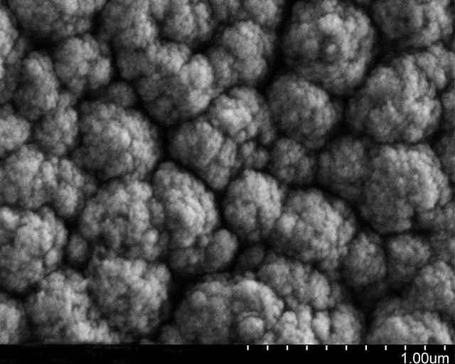 REM-Aufnahme einer WMO3-Photoanode. Photostrom jphoto(2V vs. RHE): 0, 432 mA/cm2, Schichtdicke: 1,86 µm.