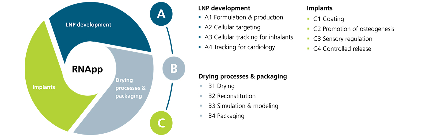 Overview of the subprojects of the Graduate program “RNApp”.